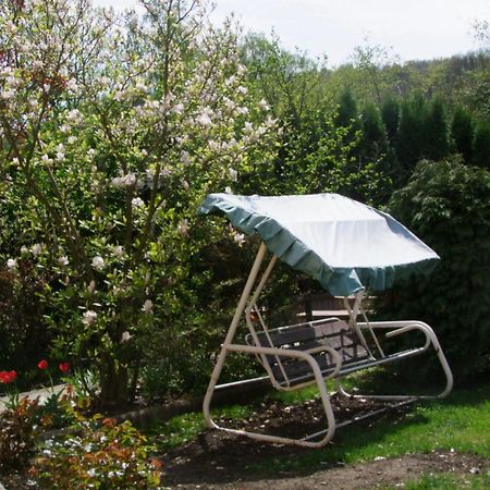 Rajna Vendeghaz Villa Bogacs Bagian luar foto