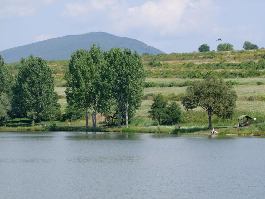 Rajna Vendeghaz Villa Bogacs Bagian luar foto