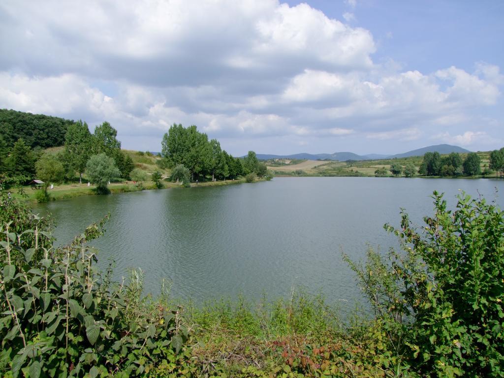 Rajna Vendeghaz Villa Bogacs Bagian luar foto