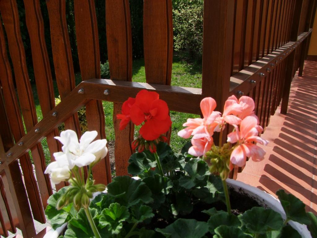 Rajna Vendeghaz Villa Bogacs Bagian luar foto