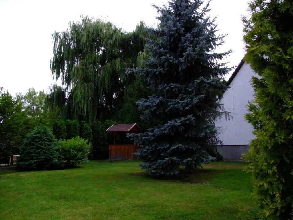 Rajna Vendeghaz Villa Bogacs Bagian luar foto