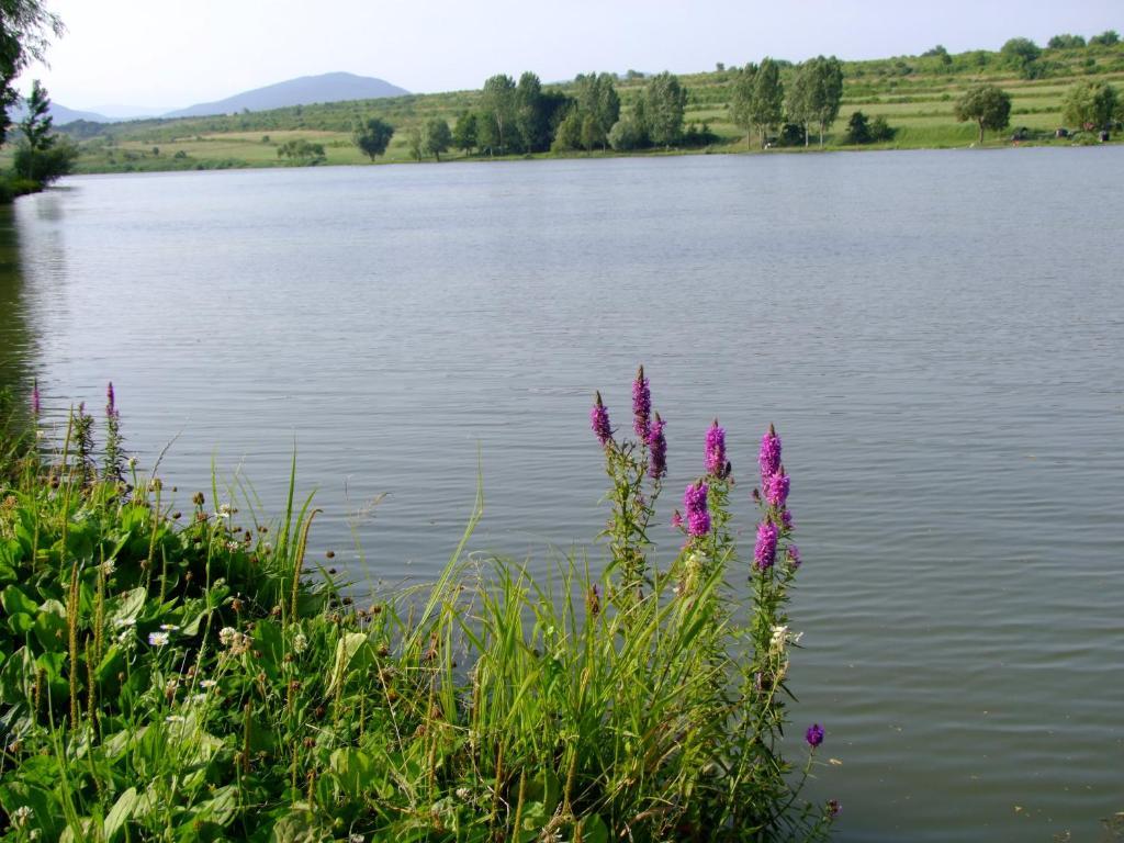 Rajna Vendeghaz Villa Bogacs Bagian luar foto